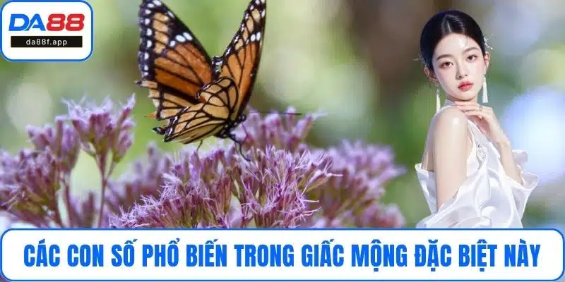 Các con số phổ biến trong giấc mộng đặc biệt này