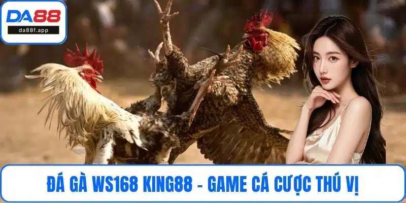 Đá gà Ws168 King88 - Game cá cược thú vị