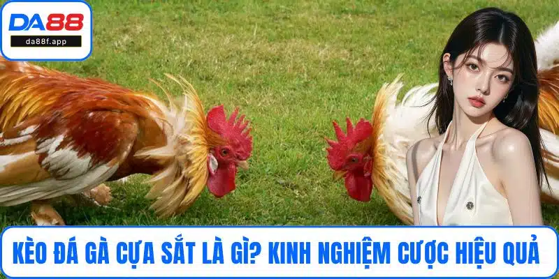 Kèo Đá Gà Cựa Sắt Là Gì? Kinh Nghiệm Cược Hiệu Quả Tại DA88