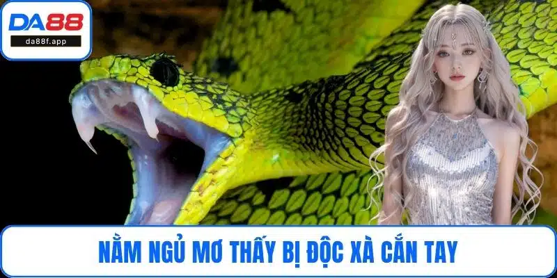 Nằm ngủ mơ thấy bị độc xà cắn tay