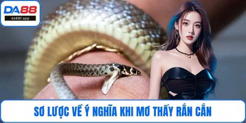 Sơ lược về ý nghĩa khi mơ thấy rắn cắn
